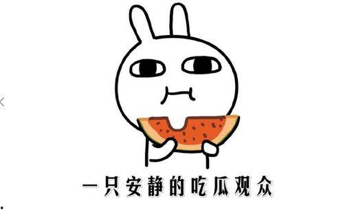 吃瓜意思,揭秘“吃瓜群众”背后的娱乐真相